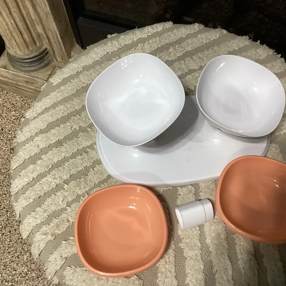 New 2 piece dog bowl set